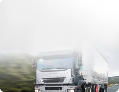 Доставляем по всему миру