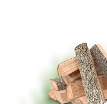 настоящий алтайский кедр